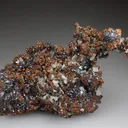 Cuprite on NATIVE Copper - image 1