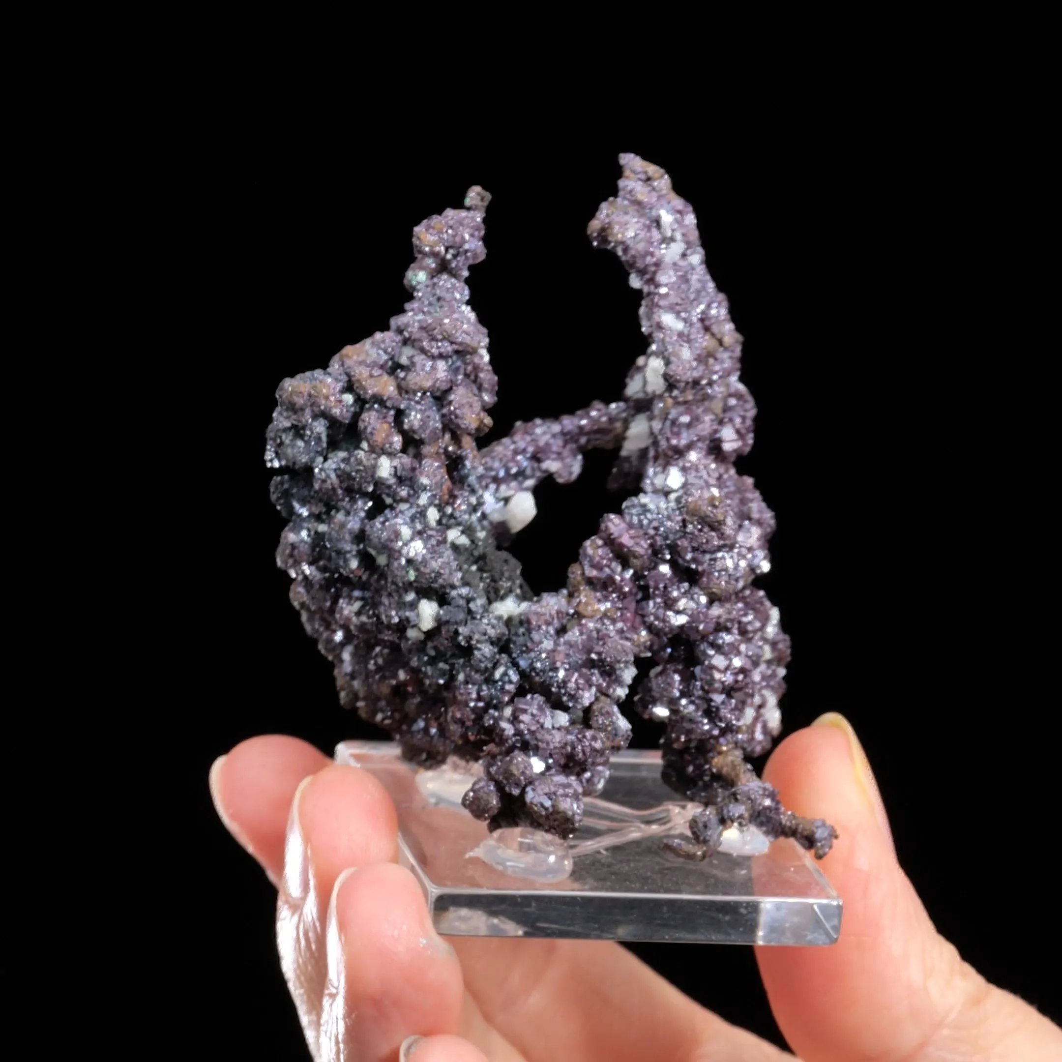 Cuprite on NATIVE Copper - image 2