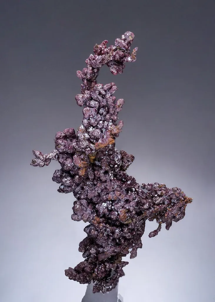 Cuprite on NATIVE Copper image