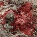 Cuprite var Chalcotrichite - image 1