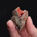 Cuprite var. Chalcotrichite - image 2