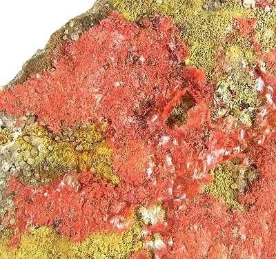 Cuprite (Var: Chalcotrichite) image