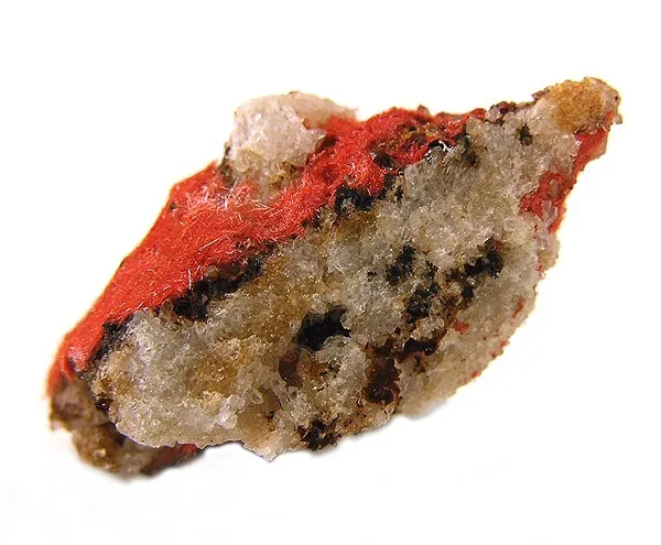 Cuprite (Var: Chalcotrichite) image