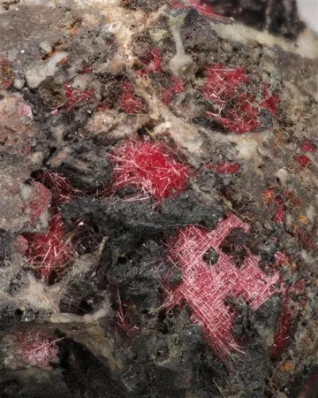 Cuprite Var. "Chalcotrichite"