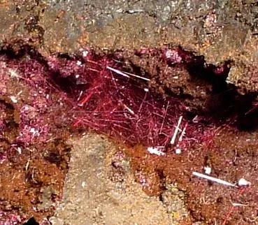 Cuprite (Var: Chalcotrichite) - image 2