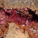 Cuprite (Var: Chalcotrichite) - image 2