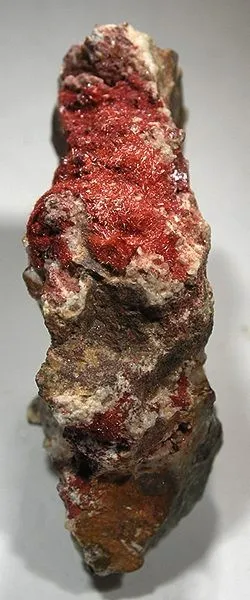 Cuprite (Var: Chalcotrichite) image
