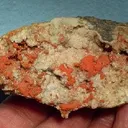 Cuprite (Var: Chalcotrichite), Dolomite - image 1