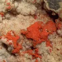 Cuprite (Var: Chalcotrichite), Dolomite - image 2