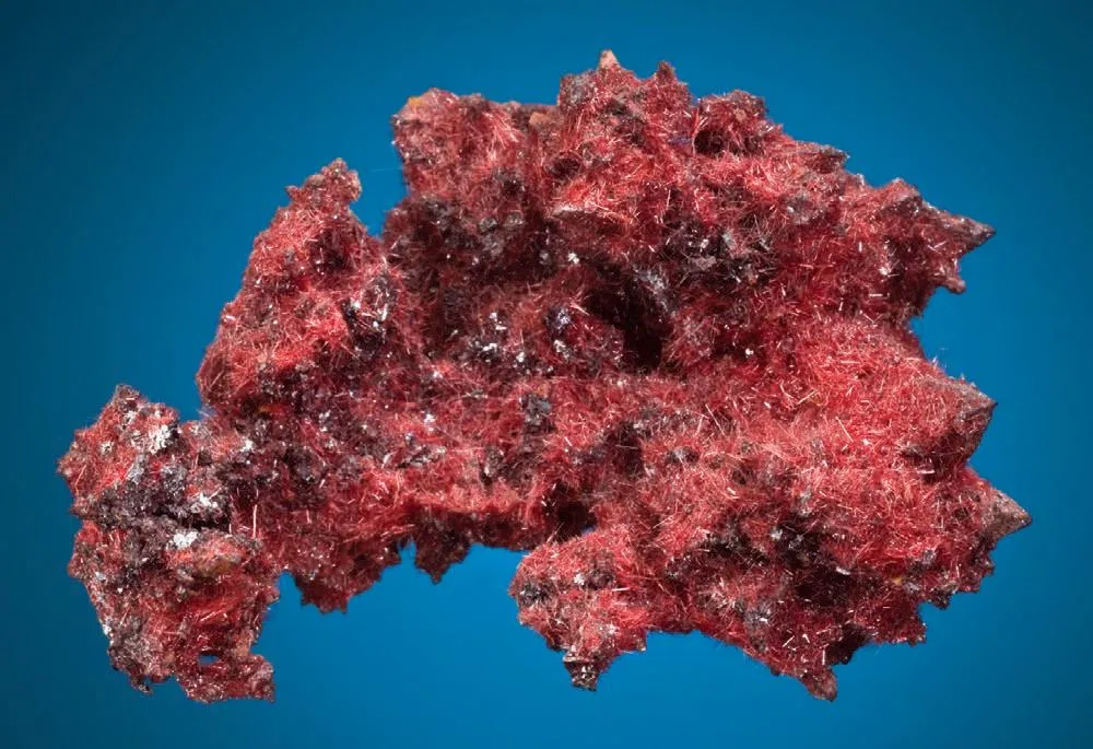 Cuprite (var. Chalcotrichite) image