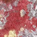 Cuprite Var. Chalcotrichite - image 3
