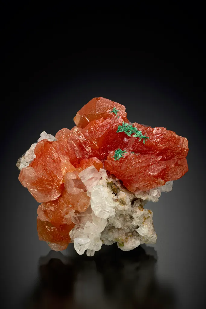 Cuprite var. Chalcotrichite incl. Cerussite from Tsumeb image
