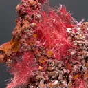 Cuprite var. Chalcotrichite on Copper - image 4