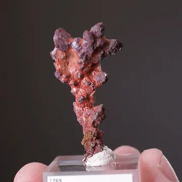 Cuprite var. Chalcotrichite on Copper