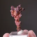 Cuprite var. Chalcotrichite on Copper - image 2