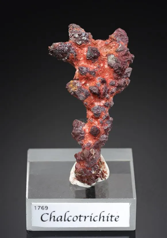 Cuprite var. Chalcotrichite on Copper - image 1