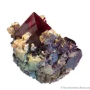 Cuprite with Baryte and Chrysocolla - image 1