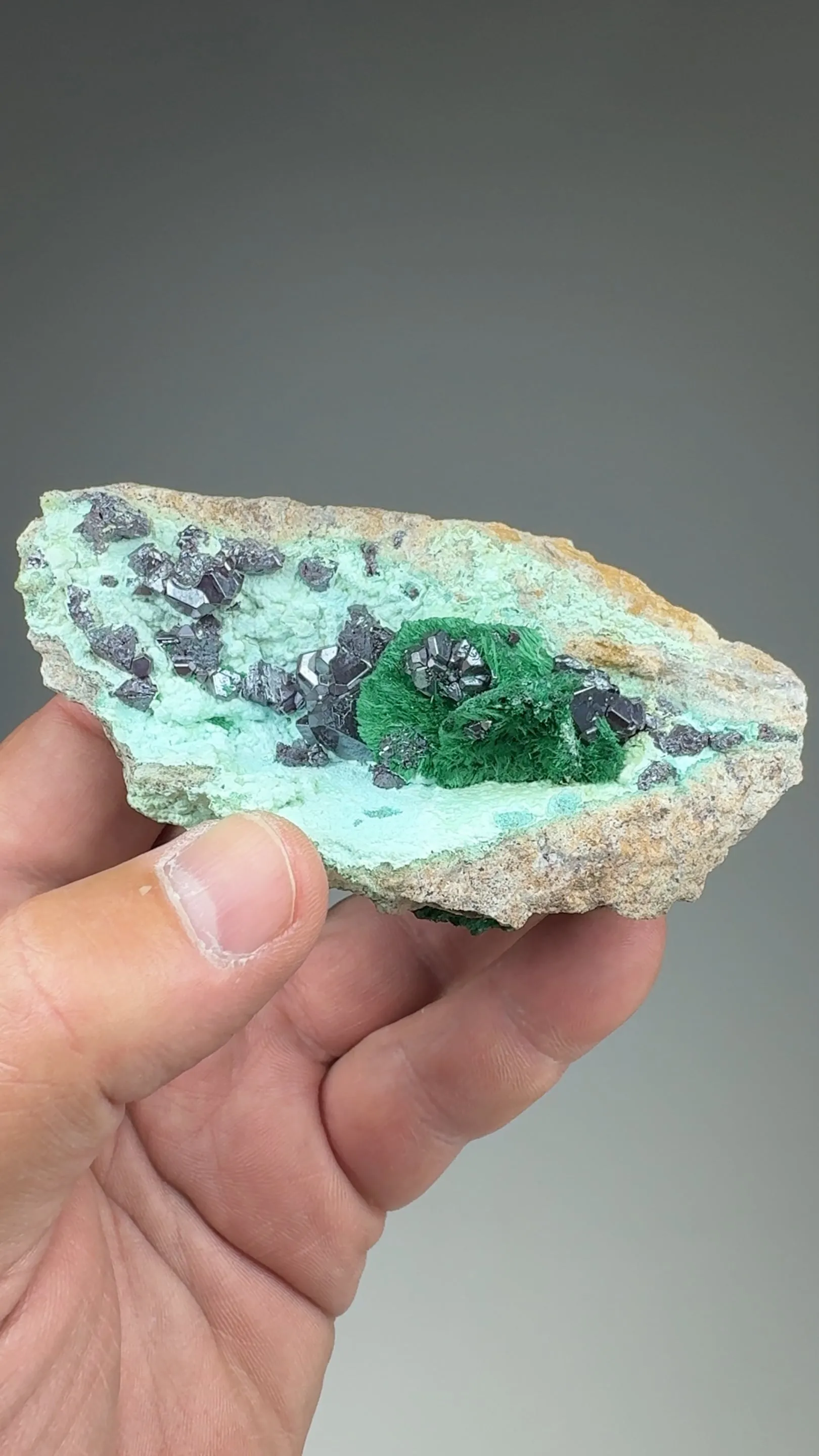Cuprite with Malachite after Azurite, Chrysocolla - image 2
