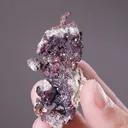 Cuprite with NATIVE Copper - image 2
