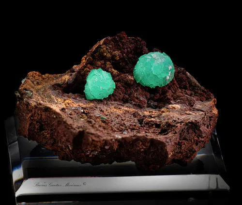 Cupro Adamite - image 2