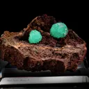 Cupro Adamite - image 2