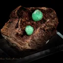 Cupro Adamite - image 1