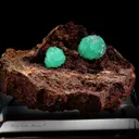Cupro Adamite - image 2