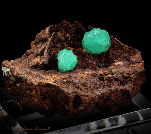 Cupro Adamite - image 4