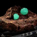 Cupro Adamite - image 4