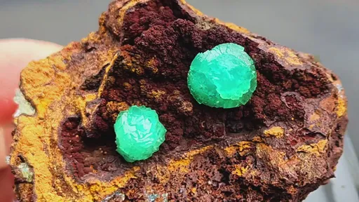 specimen video