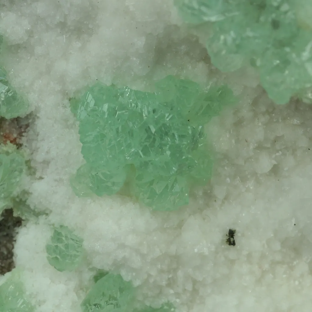 Cuproadamite from Greece, Attica, Christiana Mine - image 3