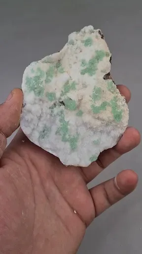 specimen video
