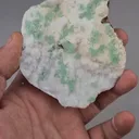 specimen video