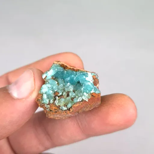 specimen video