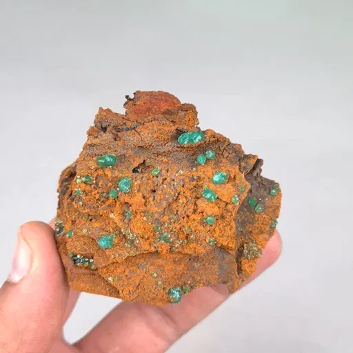 specimen video