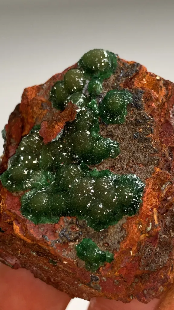 Cuproadamite from Mexique, Durango, Mapimí, Mine Ojuela - image 6