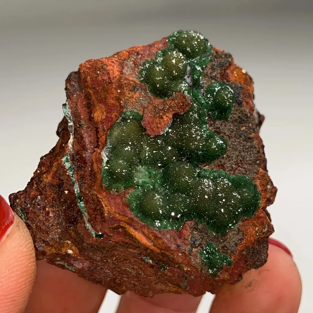 Cuproadamite from Mexique, Durango, Mapimí, Mine Ojuela - image 3