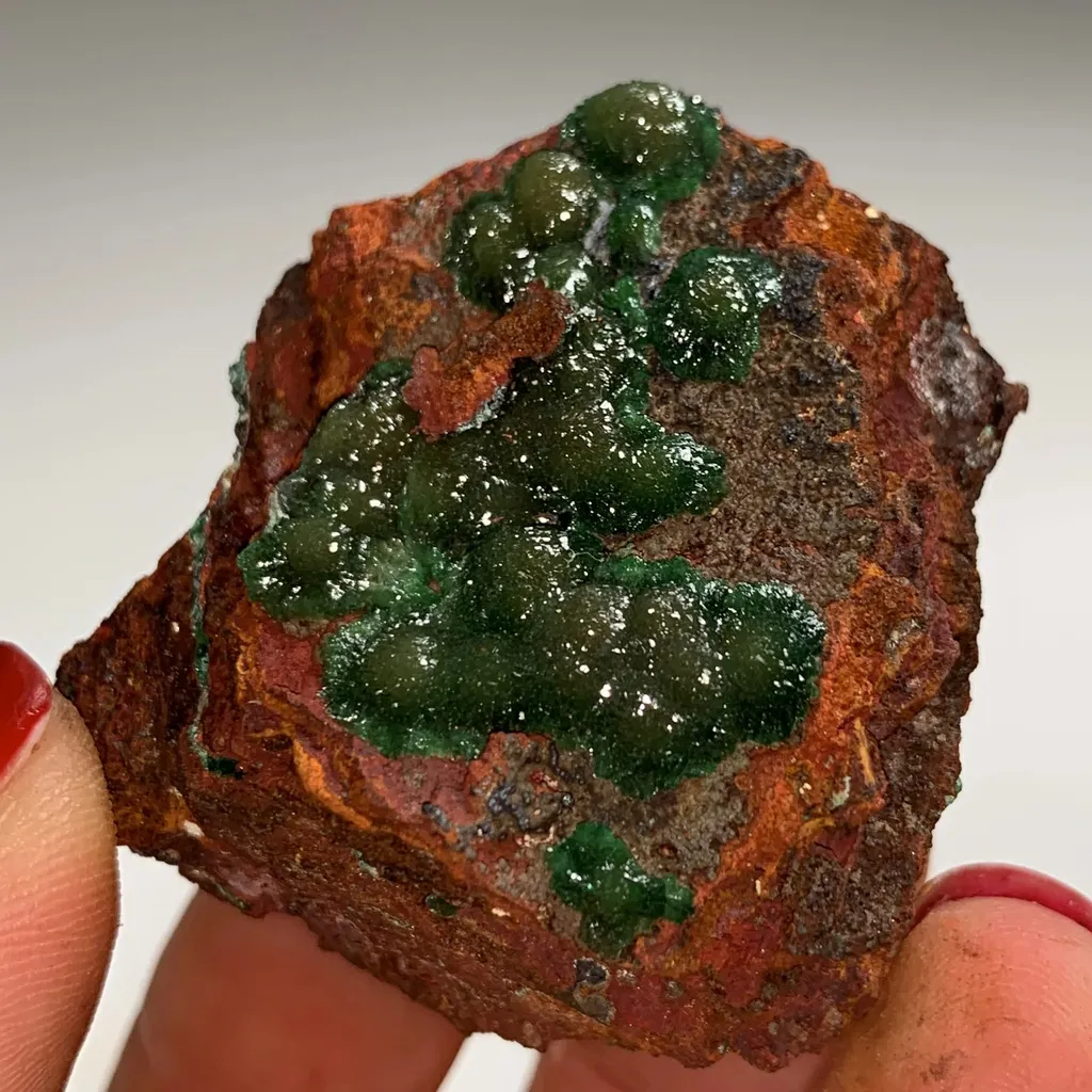 Cuproadamite from Mexique, Durango, Mapimí, Mine Ojuela - image 4