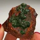 Cuproadamite from Mexique, Durango, Mapimí, Mine Ojuela - image 4