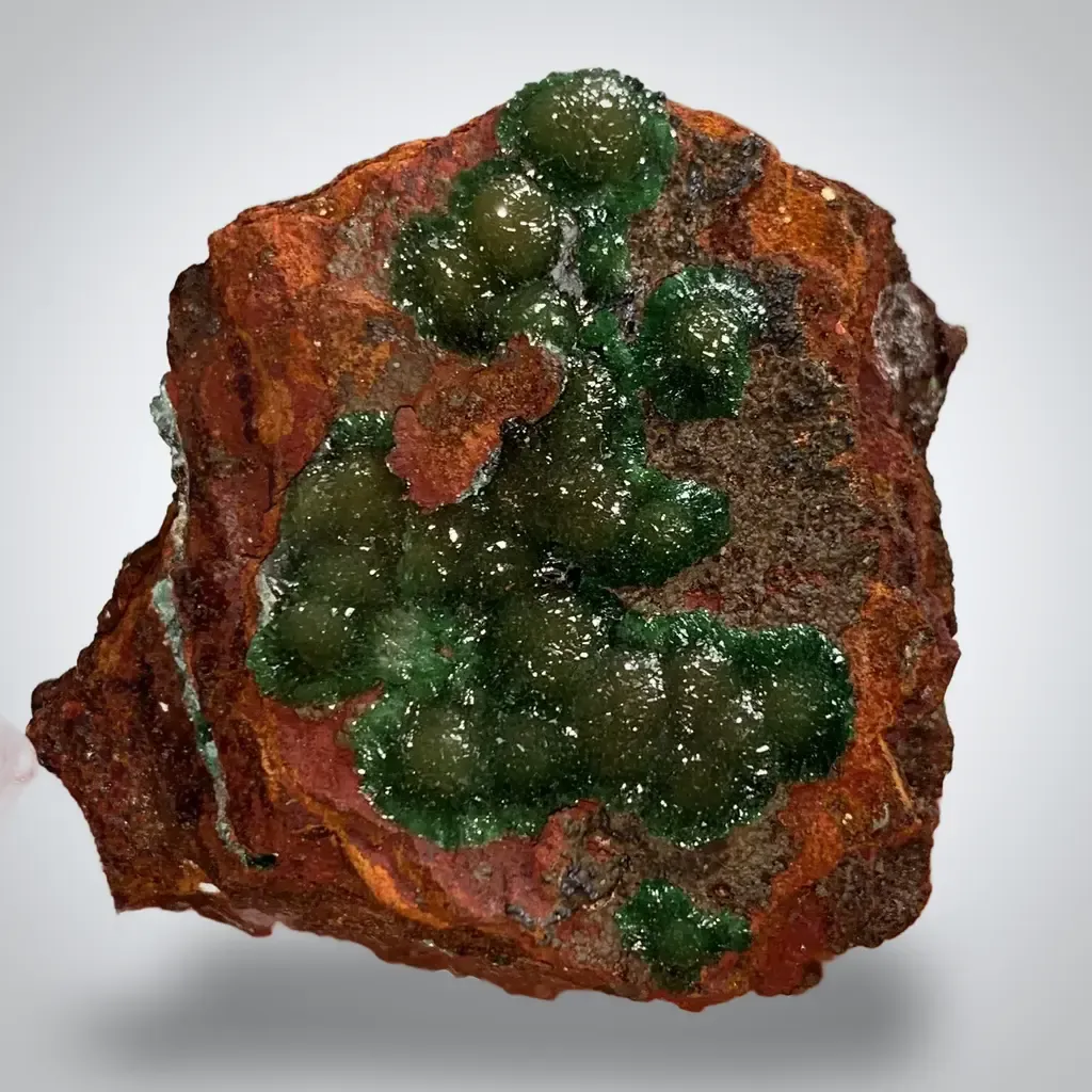 Cuproadamite from Mexique, Durango, Mapimí, Mine Ojuela image