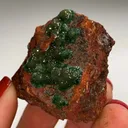 Cuproadamite from Mexique, Durango, Mapimí, Mine Ojuela - image 5