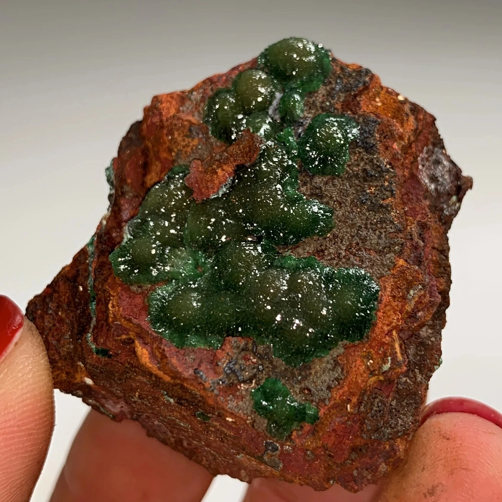 Cuproadamite from Ojuela Mine, Mapimí, Durango, Mexico - image 4