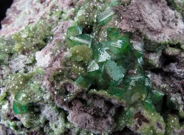 Cuproadamite With Ferrilotharmeyerite (Tl) - image 3