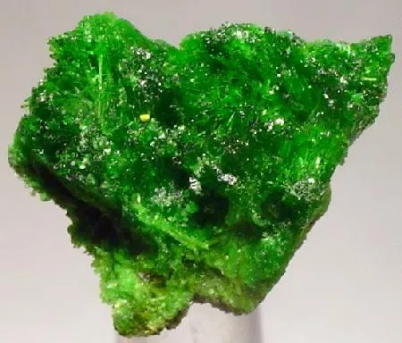 Cuprosklodowskite image