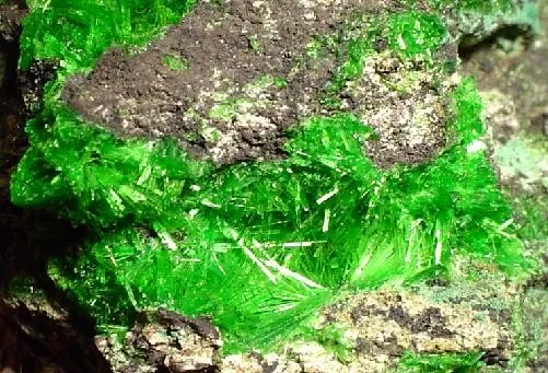 Cuprosklodowskite - image 2
