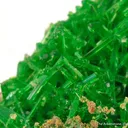 Cuprosklodowskite - image 1
