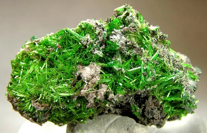 Cuprosklodowskite image