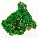 Cuprosklodowskite - image 2