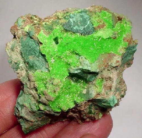 Cuprosklodowskite image