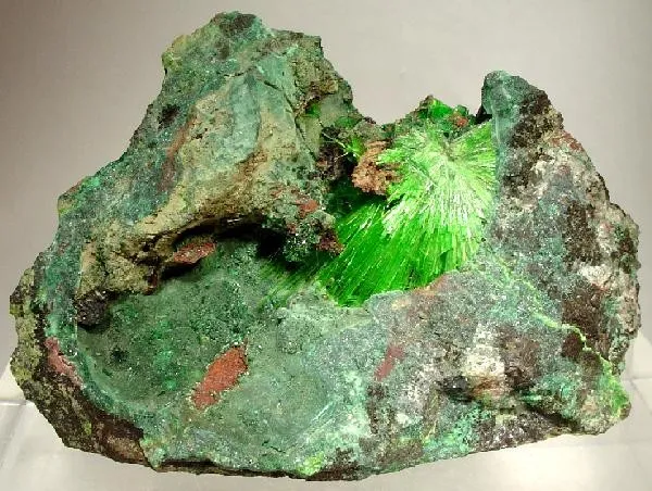 Cuprosklodowskite image